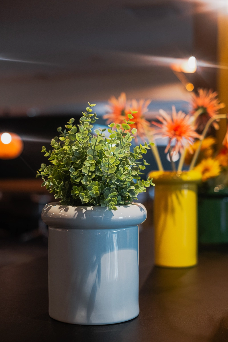 tanaman solution vases 1200 07