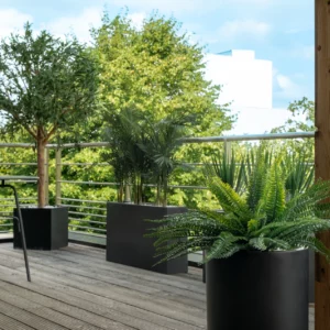 Plantes et végétaux extérieurs