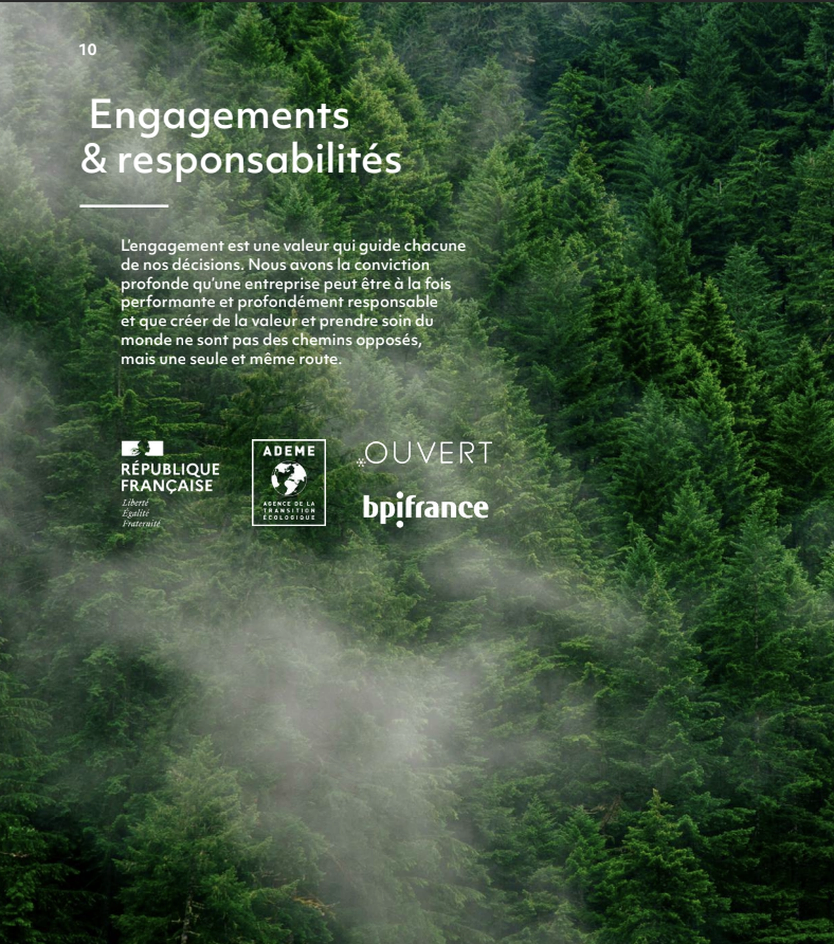 tanaman engagement 1900 06